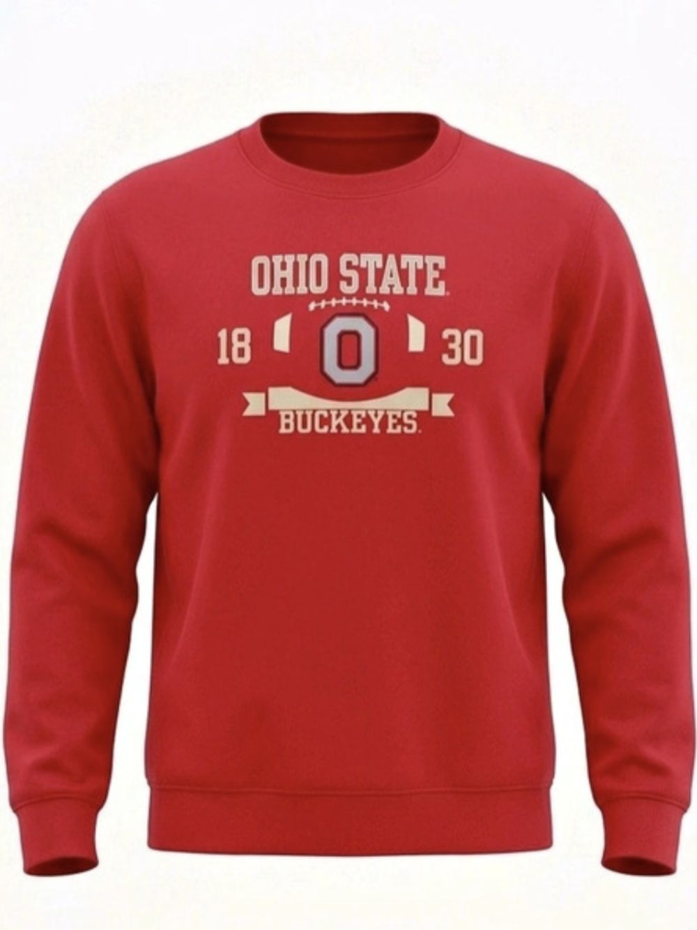 Y2K 90S RARE VINTAGE Ohio State Buckeyes Sweatshirt Size Large